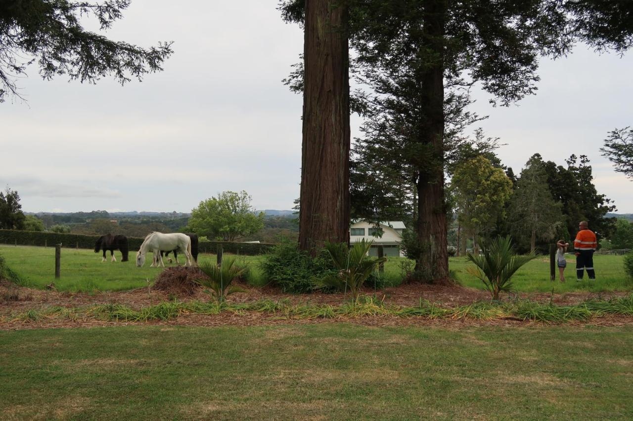 Cosy Nights - Modern, Self-Contained With Parking Kerikeri Exterior foto